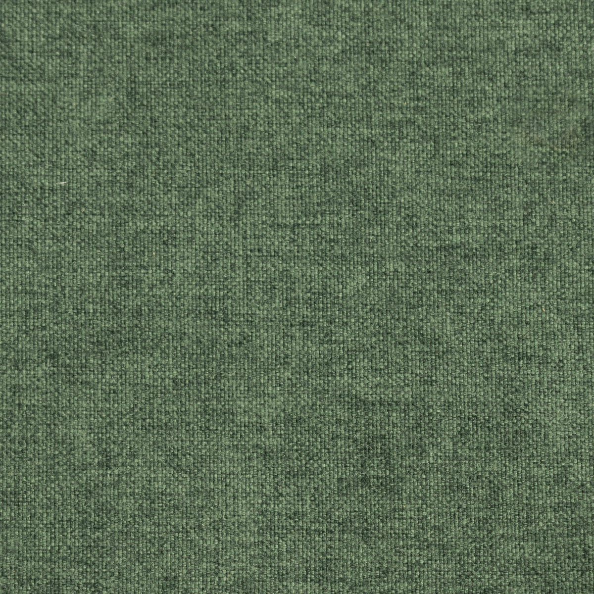 Pine