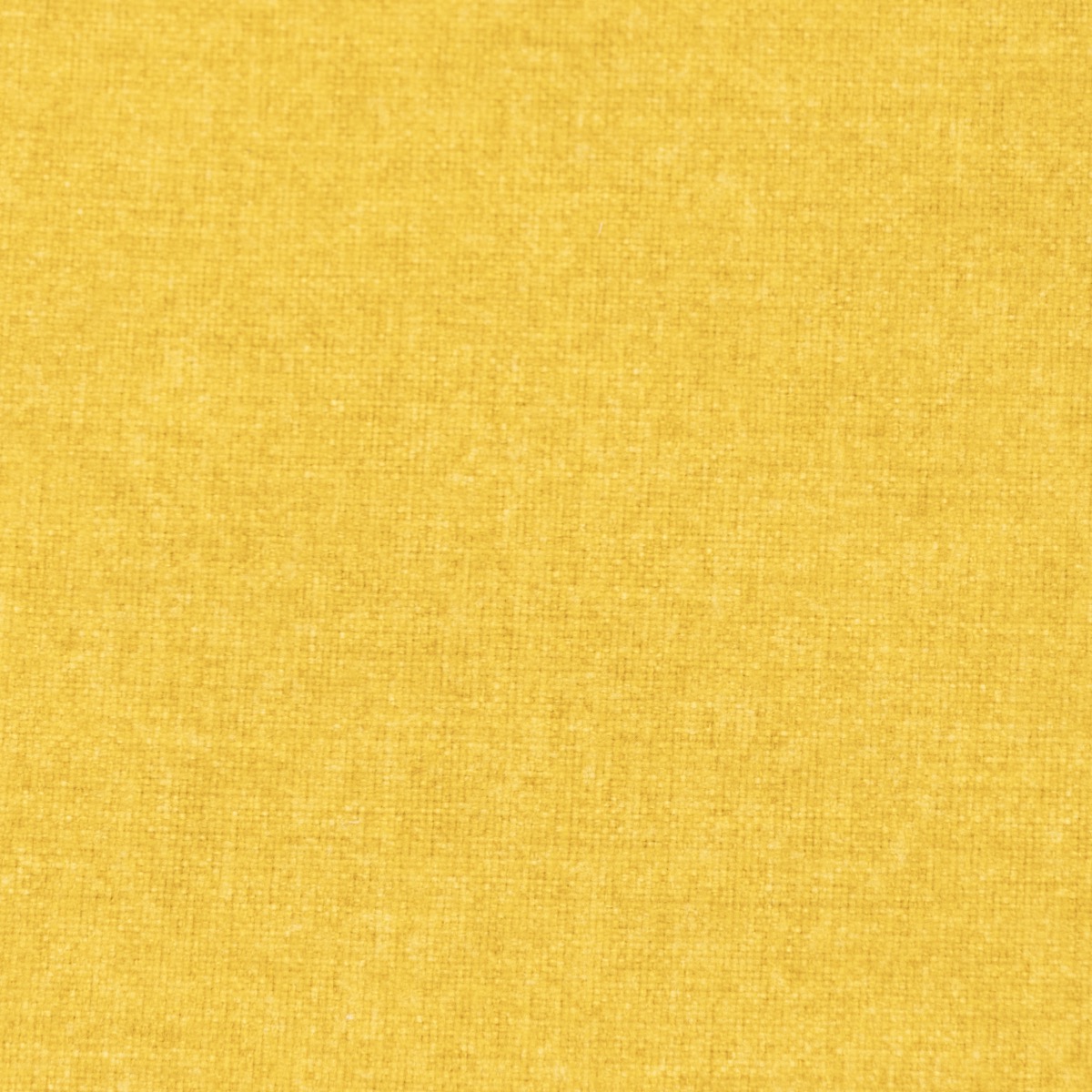 Marigold