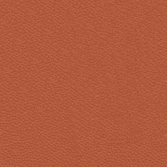 Vegan Leather