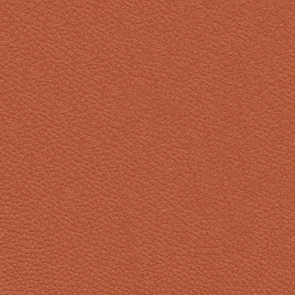 Vegan Leather