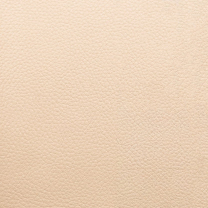 Vegan Leather