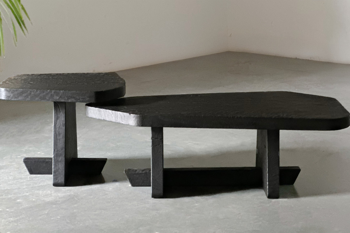 Ignis Coffee Table- Black Stained Burnt Euclaptyus