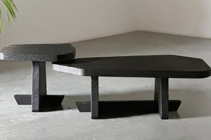 Ignis Coffee Table- Black Stained Burnt Euclaptyus