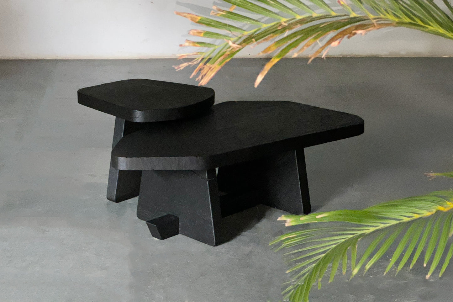 Ignis Coffee Table- Black Stained Burnt Euclaptyus