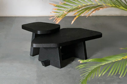 Ignis Coffee Table- Black Stained Burnt Euclaptyus