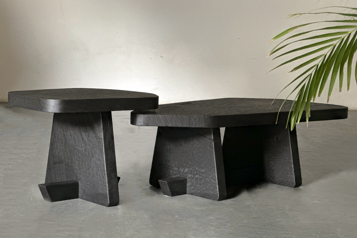 Ignis Coffee Table- Black Stained Burnt Euclaptyus